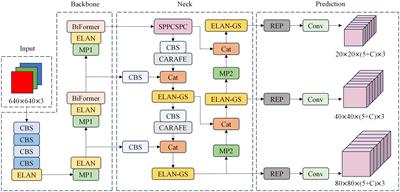 PI-YOLO: dynamic sparse attention and lightweight convolutional based YOLO for vessel detection in pathological images